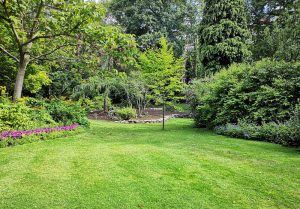 Optimiser l'expérience du jardin à Chateau-sur-Allier